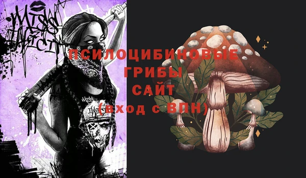 бошки Гусев