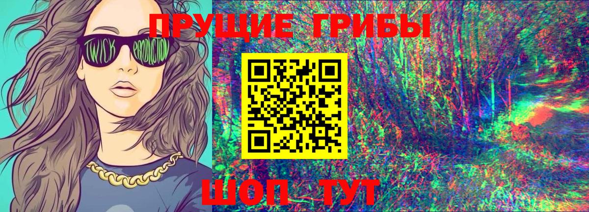 Галлюциногенные грибы прущие грибы Лесной