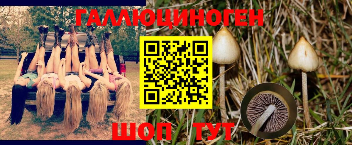 Псилоцибиновые грибы мухоморы  Вход с VPN  Галлюциногенные грибы Cubensis  Лесной 